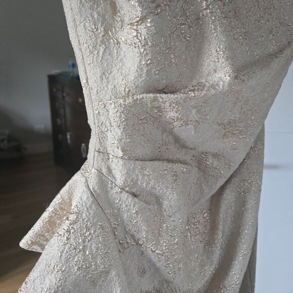 Teri Jon Gold Formal Gown size 10 - Picture 3 of 7